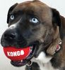 Kong Dog Signature Sport Ball 3-pk Medium