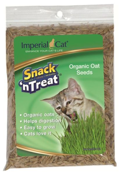 Snack’n Treat - Hạt giống cỏ mèo tươi 113g