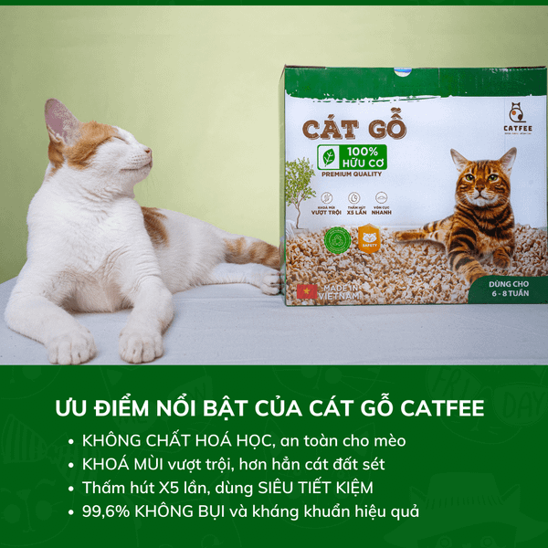 Cát Vệ Sinh Cho Mèo - CattFee Cát Gỗ Vón Cho Mèo - 6L/9L