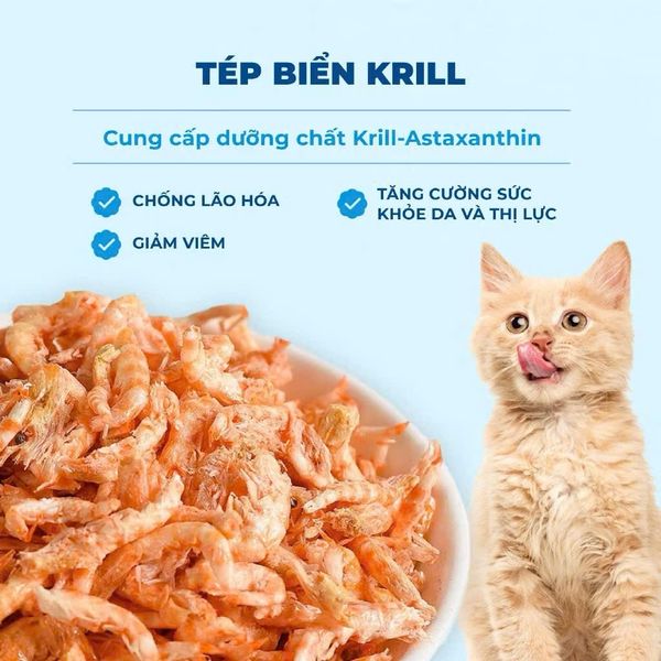MR.VET T4 – Hạt Holistic Cho Mèo Trong Nhà (1KG)