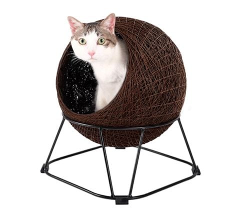 IBI Pet Pod Zentanle Enhanced FB2161-BR