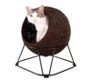 IBI Pet Pod Zentanle Enhanced FB2161-BR