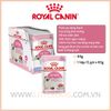 Pate Mèo con Royal Canin Kitten-85g