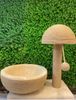 Trụ Cào Mèo Kara Giường Nấm KL-123 - Kara Cat Tree Mushroom Bed KL-123