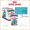Pate Mèo Hỗ trợ Tiết Niệu Royal Canin Urinary in Gravy-85g
