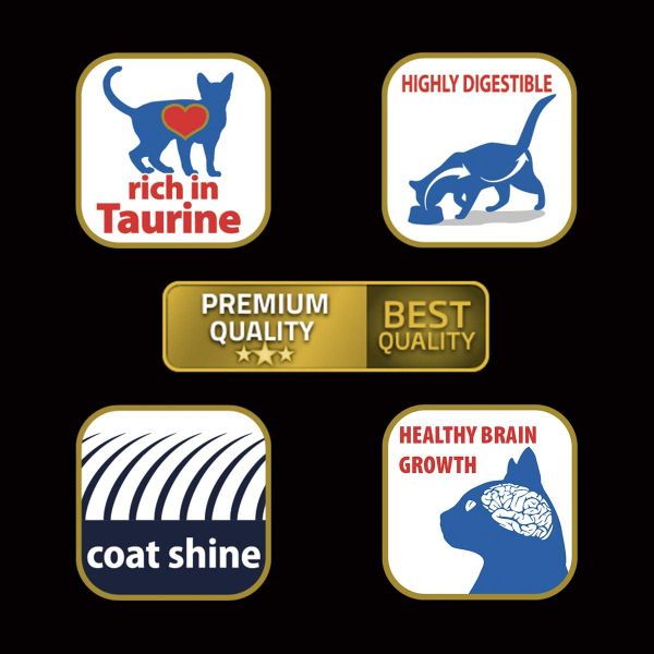 N&D Matisse Mèo Trưởng Thành CáHồi&CáNgừ 1.5kg - CAT Adult Salmon&Tuna 1.5kg