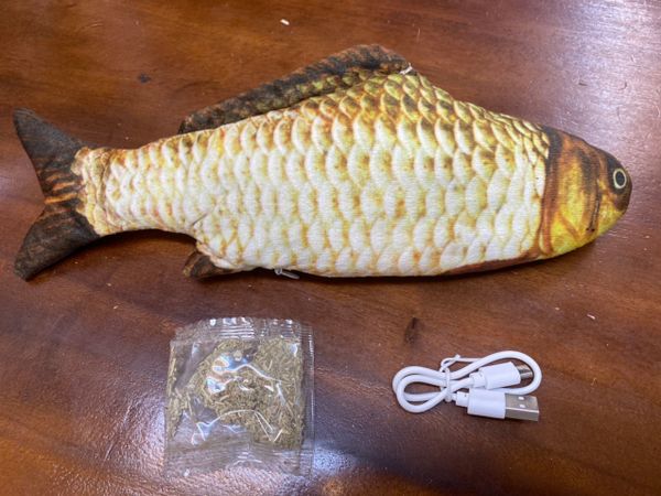 Cattoy Cá Điện - CAT Electric Fish