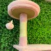 Trụ Cào Mèo Jian 1Tầng 1516 - Jian Cat Tree 1516