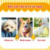 DoggyMan – Que Gặm Hương Phô Mai 120g