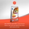 HẠT CHO CHÓ TRƯỞNG THÀNH FARMINA N&D TROPICAL SELECTION – GÀ / CÁ HỒI & TRÁI CÂY NHIỆT ĐỚI (DÒNG MEDIUM/MAXI)