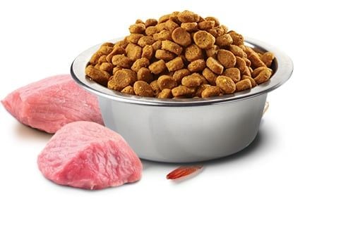 Hạt Cho Mèo Con Cao Cấp Farmina N&D – Thịt Gà & Trái Cây Tự Nhiên
