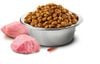 Hạt Cho Mèo Con Cao Cấp Farmina N&D – Thịt Gà & Trái Cây Tự Nhiên
