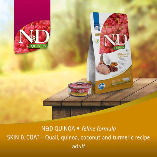 Hạt Cho Mèo Trưởng Thành N&D Quinoa – Hỗ Trợ Da & Lông Khỏe Mạnh
