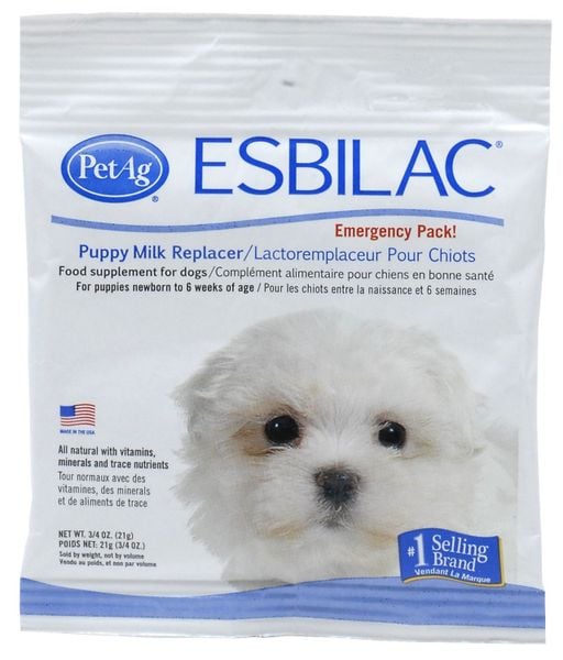 Esbilac 21g sữa cho chó con