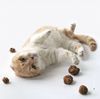 Catwant - Quả Bạc Hà Khô Cho Mèo (Catnip) 20g