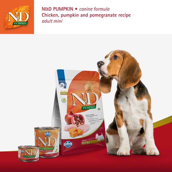 HẠT CHO CHÓ TRƯỞNG THÀNH FARMINA N&D PUMPKIN – KHÔNG NGŨ CỐC