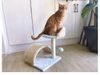 Trụ Cào Mèo Momo - Momo Cat Tree