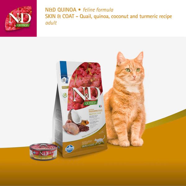 Hạt Cho Mèo Trưởng Thành N&D Quinoa – Hỗ Trợ Da & Lông Khỏe Mạnh