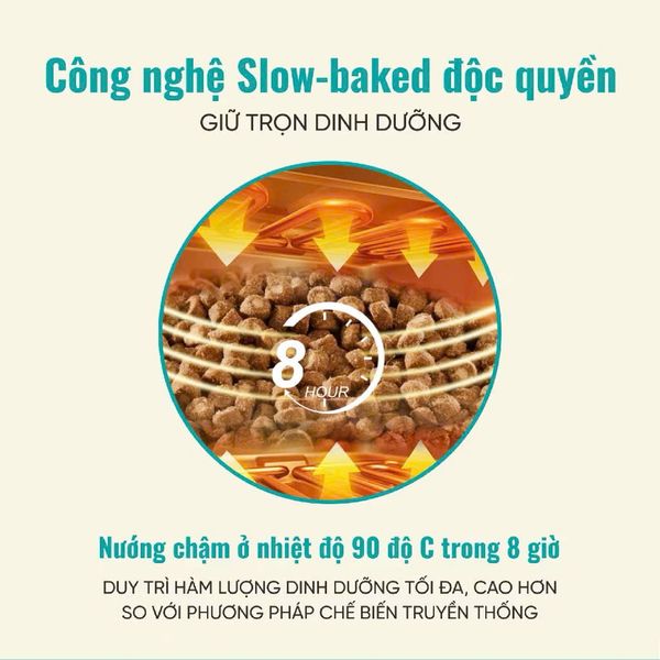 Thức Ăn Hạt Cho Mèo Bite Of Wild B45 - 1KG