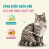 Thức Ăn Cho Mèo Con Cao Cấp Bổ Sung Sữa Dê - Bite Of Wild Kitten K42 - 1Kg