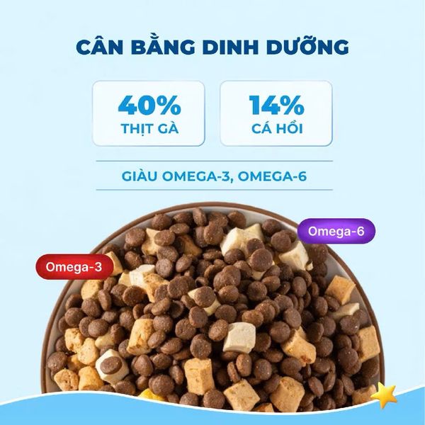 MR.VET T2 – Thức Ăn Mèo Cao Cấp (1kg)