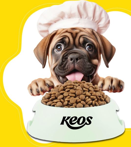 Keos - Thức Ăn Hạt Cho Chó Mọi Lứa Tuổi