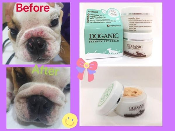 Doganic Pet Cream 30g - Kem Bôi Trị Viêm Da
