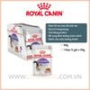 Pate Mèo triệt sản Royal Canin Sterilised in Gravy - 85g