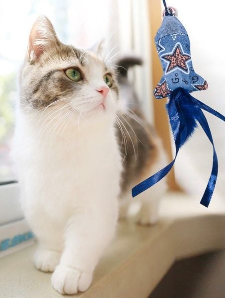 Cần câu mèo màu xanh - Yichon Cat Teaser Blue 40cm