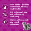 Whiskas Kitten - Pate cho Mèo Con 80g
