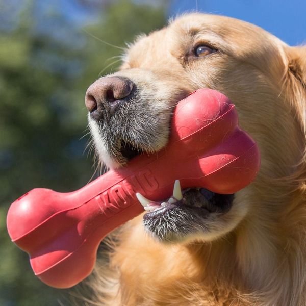 KONG Goodie Bone KB31 Sm