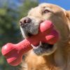 KONG Goodie Bone KB31 Sm