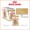 Royal Canin Poodle Adult 85g