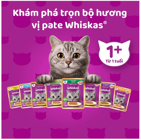 Whiskas Adult - Pate cho mèo trên 1 tuổi 85g
