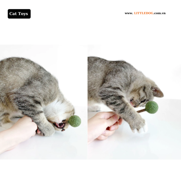Đồ chơi cho mèo hình kẹo mút - Catwant Lollipop