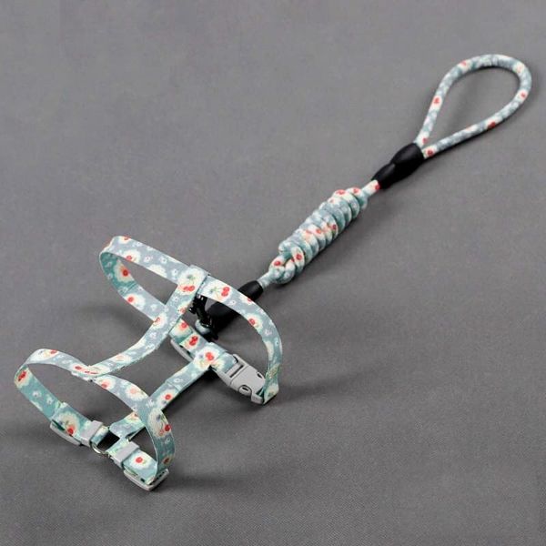 Dây Dắt Vòng Cổ Cho Mèo - Cat Hardness Set