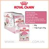Royal Canin Kitten in Loaf - Mèo con 85g