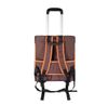 IBI Pet Carrier FC1705-BR