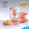 Catster Cá hồi sấy lạnh 40g
