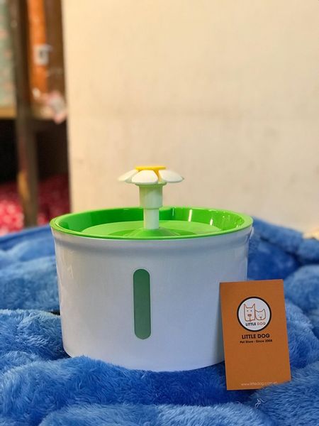 Water Fountain 2.4L - Máy Lọc Nước