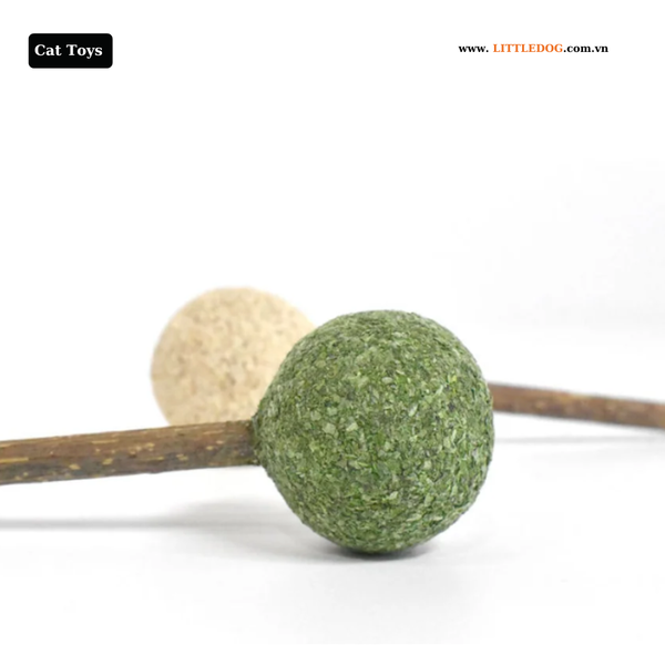 Đồ chơi cho mèo hình kẹo mút - Catwant Lollipop