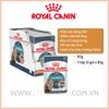 Pate Mèo Chống búi lông Royal Canin Pate Hairball Care Gravy-85g