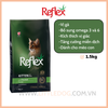 Reflex Plus Kitten Chicken - Mèo con Vị Gà (1,5kg/8kg)