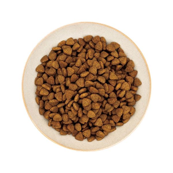 DoggyMan - Thức Ăn Hạt Healthy Choice Cho Chó Trưởng Thành Giống Vừa & Lớn – 400g/1,5kg