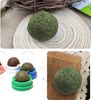 Yichon Catnip Que Gỗ