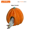 NỆM TRÁI BÍ - PUMPKIN PET BED ULIGOTA