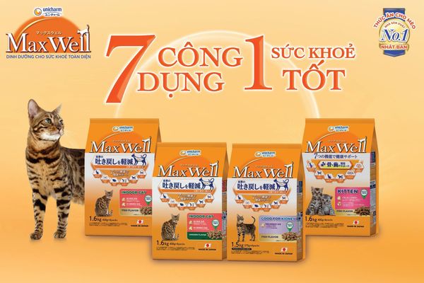 Max Well - Thức Ăn Khô Cho Mèo 1.6Kg