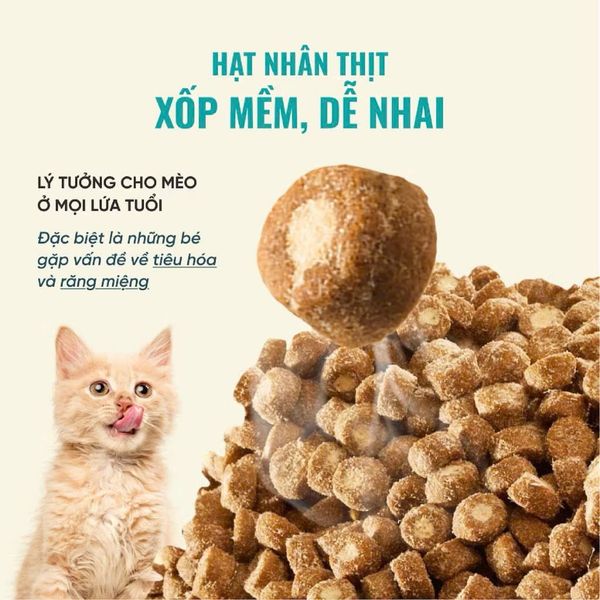 Thức Ăn Hạt Cho Mèo Bite Of Wild B45 - 1KG