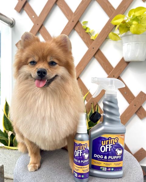 Urine Off - Xịt khử mùi và vết ố do nước tiểu chó mèo gây ra