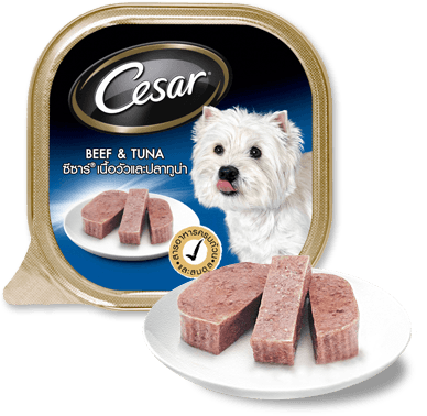 Cesar 100g Bò & Cá ngừ | Beef & Tuna